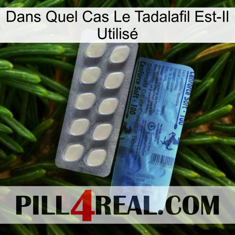 Dans Quel Cas Le Tadalafil Est-Il Utilisé 34